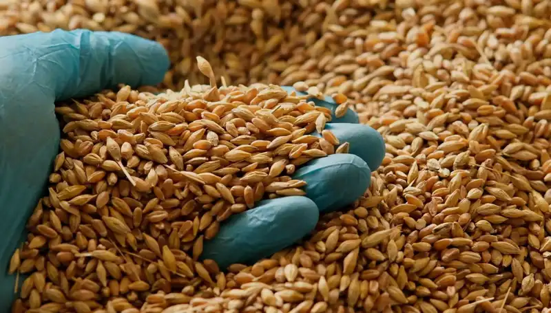 Kalp Hastalığı Riskinizi Azaltacak Beslenme Tüyoları ve Uzman Görüşleri