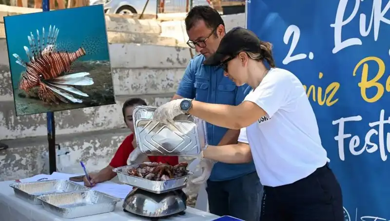 Antalya’da İstilacı Aslan Balığı Avlama Yarışması: Denizlerin Koruyucuları Buluşuyor