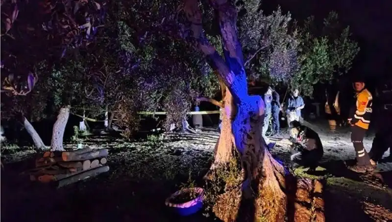 Çiftlikteki Baltalı Vahşet Sona Erdi: Bir Tutuklama Gerçekleşti
