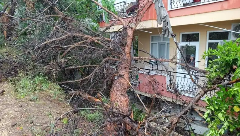 Şiddetli Yağmur Sonrası Bina Çöktü: Olayda Can Kaybı Var mı?