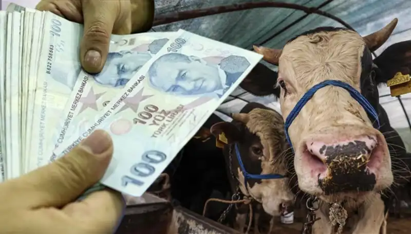 Memur ve Emekli Maaşları Bayram Öncesi Yatacak mı? Erken Ödeme Müjdesi!