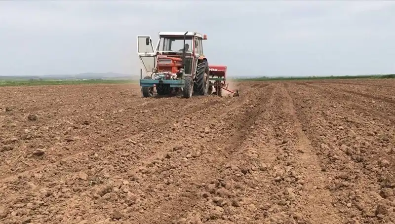 Son 35 Yılda Görülen En Kurak Mart Ayı: Yağışlar Neden Yüzde 59 Düştü?