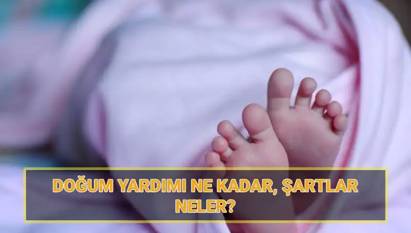 2025’te 5 Bin Lira Doğum Yardımı Başvurusu: Şartlar ve Süreç