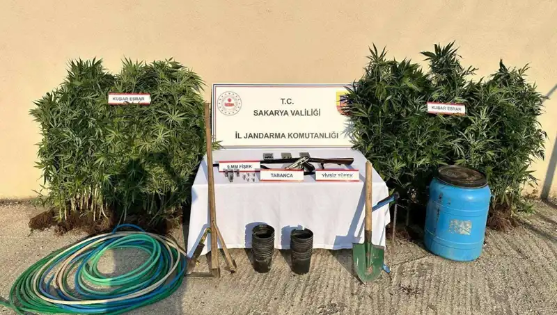 Sakarya'da Uyuşturucu Operasyonu: Bir Kişi Tutuklandı