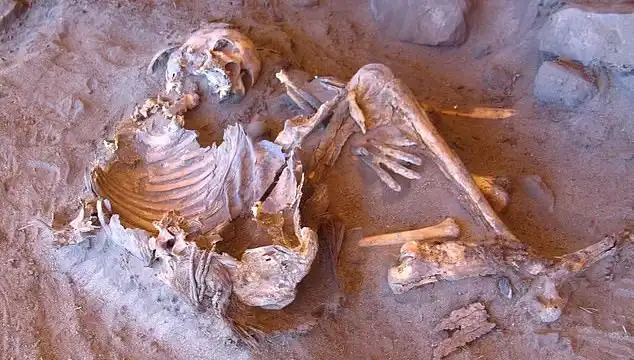 Yeni Mumya Keşfi: İnsanlığın Soy Ağacı Değişiyor!
