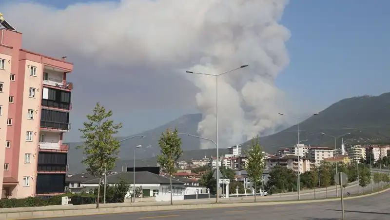 Denizli'de Patlak Veren Orman Yangını: Bir Şüpheli Gözaltına Alındı