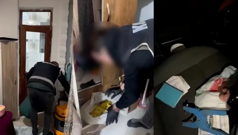Hayvan Sevk Belgesi Usulsüzlüğü Operasyonu: Dokuz Gözaltı ile Şok Gelişme